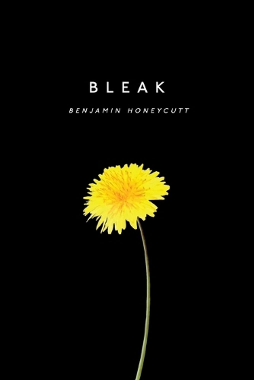 Bleak by Benjamin Honeycutt - ISBN: 9798997313029