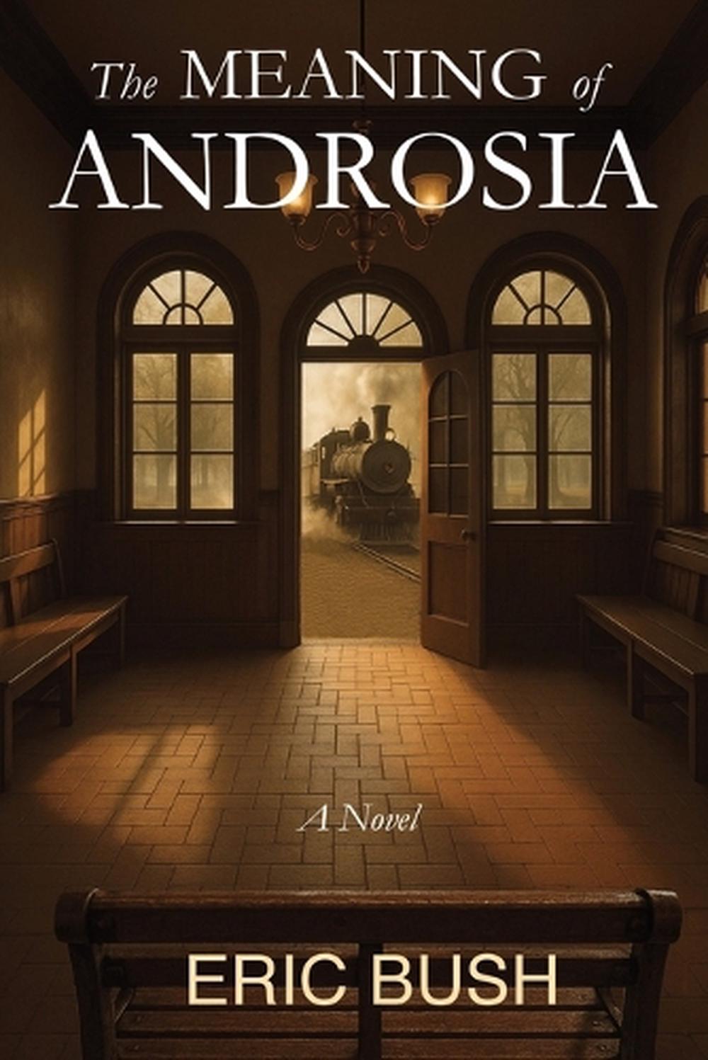 The Meaning of Androsia by Eric Bush - ISBN: 9798999682116
