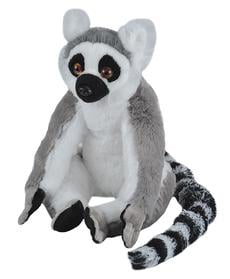 wild republic koala