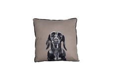 Cushion THE MOG & BONE DESIGNER THROW CUSHIONS ARE OFFERED IN A SERIES OF PHOTOGRAPHIC DOG PRINTS, CO-ORDINATING WITH THE MOG & BONE DESIGNER TEA TOWEL COLLECTION. MADE FROM 100% COTTON WITH A CONCEALED ZIP FOR EASY REMOVAL OF THE CUSHION COVER. MACHINE WASHABLE. (0797776301218)