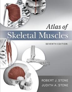 atlas os skeletal muscles