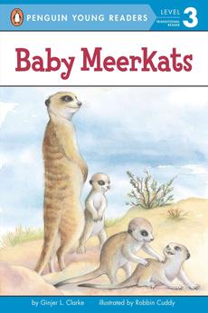 Wheres the meerkat on holiday