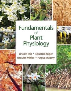 Plant Physiology and Development, 7th Edition by Lincoln