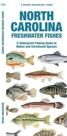 Newfoundland & Labrador Fishes: A Waterproof Folding Guide to Native and  Introduced Freshwater Species