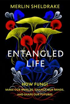entangled life merlin sheldrake entangled life merlin sheldrake