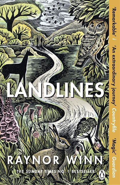 Landlines by Raynor Winn - ISBN: 9781405947787