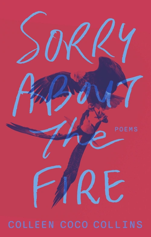 Cover of Sorry About the Fire